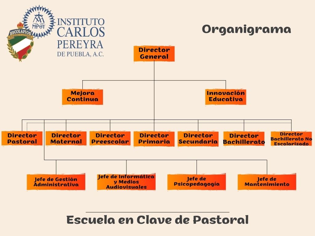 organigrama